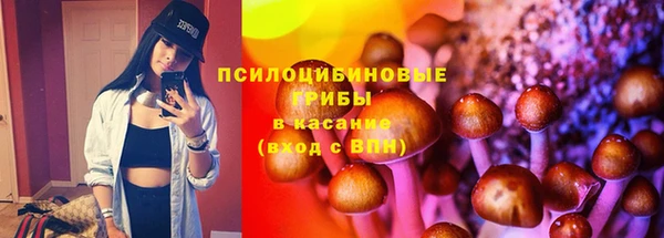 шишки Баксан