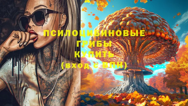 шишки Баксан